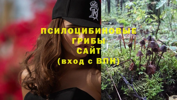 дурь Володарск