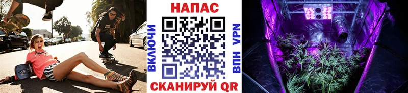 сайты даркнета как зайти  Ипатово  Конопля марихуана 
